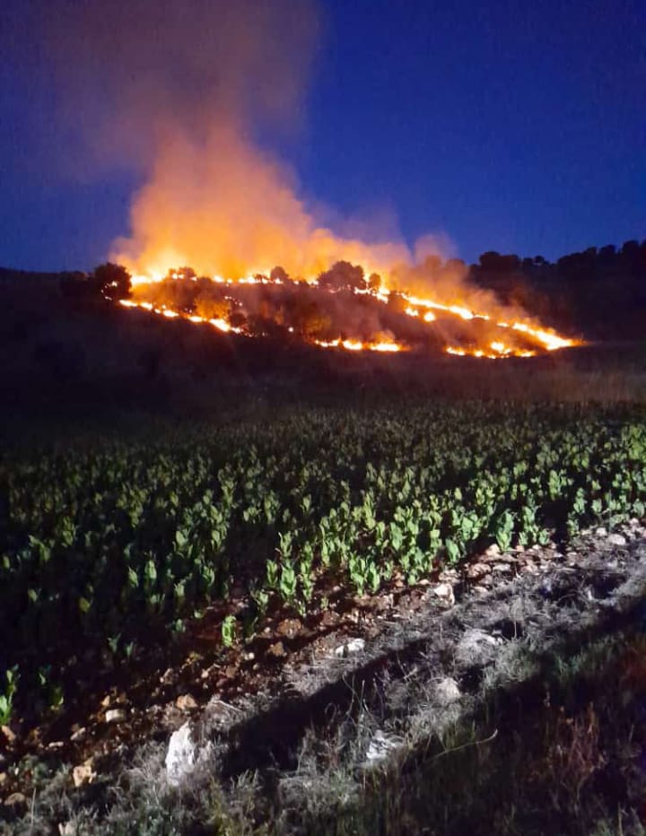 بالفيديو - اندلاع حرائق في أحراج رميش وعلما الشعب والناقورة جراء القذائف الفوسفورية